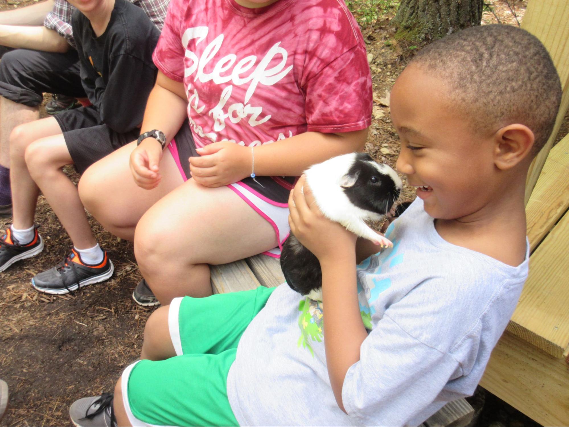 Camper boy holding a guinea pig